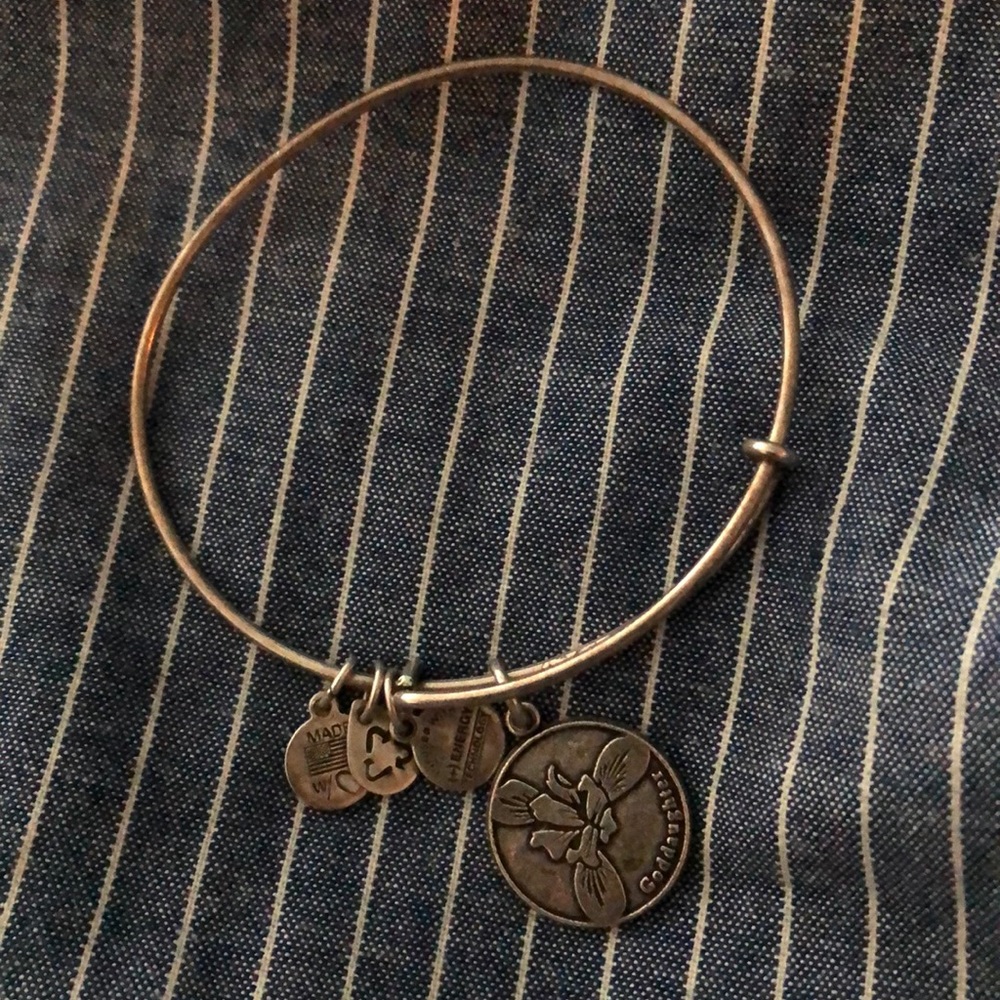 Alex and Ani Bracelet